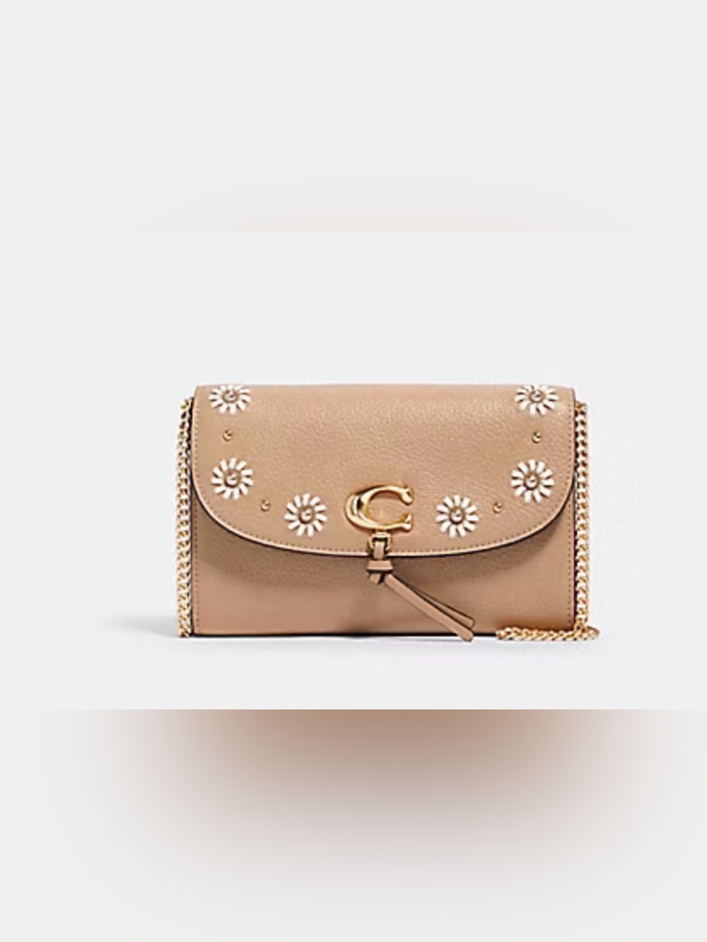 Coach Remi Daisy Leather Crossbody with Daisy Appliqués and Gold Hardware